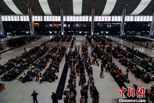 旅客在兰州西站候车大厅内候车。 宋佳龙 摄 旅客在兰州西站候车大厅内候车。 宋佳龙 摄